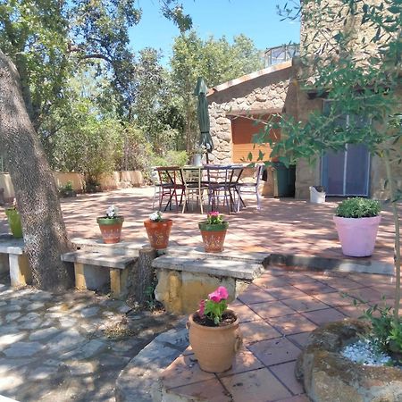 Casa Rural Vinas Perdidas Béjar Extérieur photo