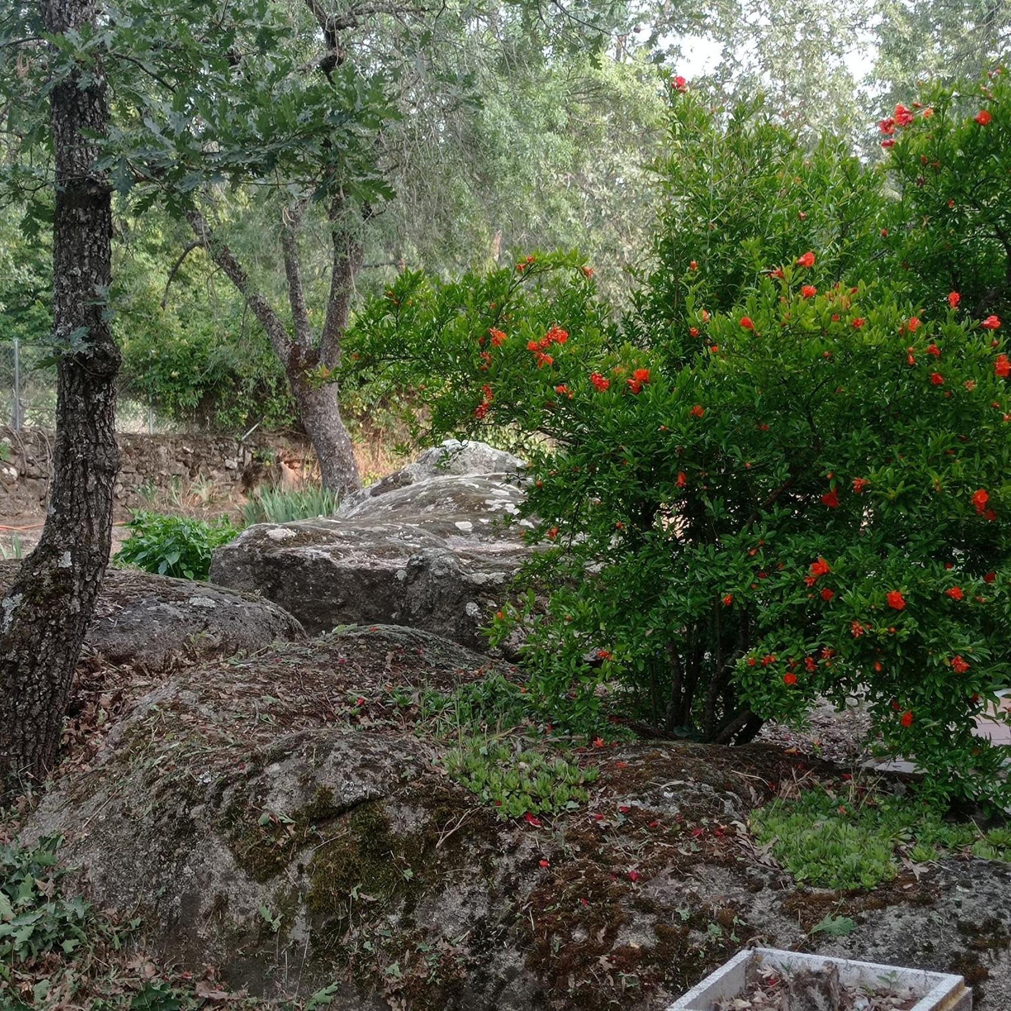 Casa Rural Vinas Perdidas Béjar Extérieur photo